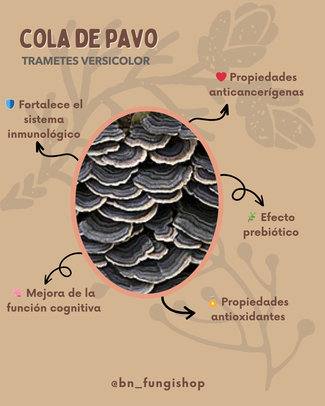 Micro Cola de Pavo - Vista 9